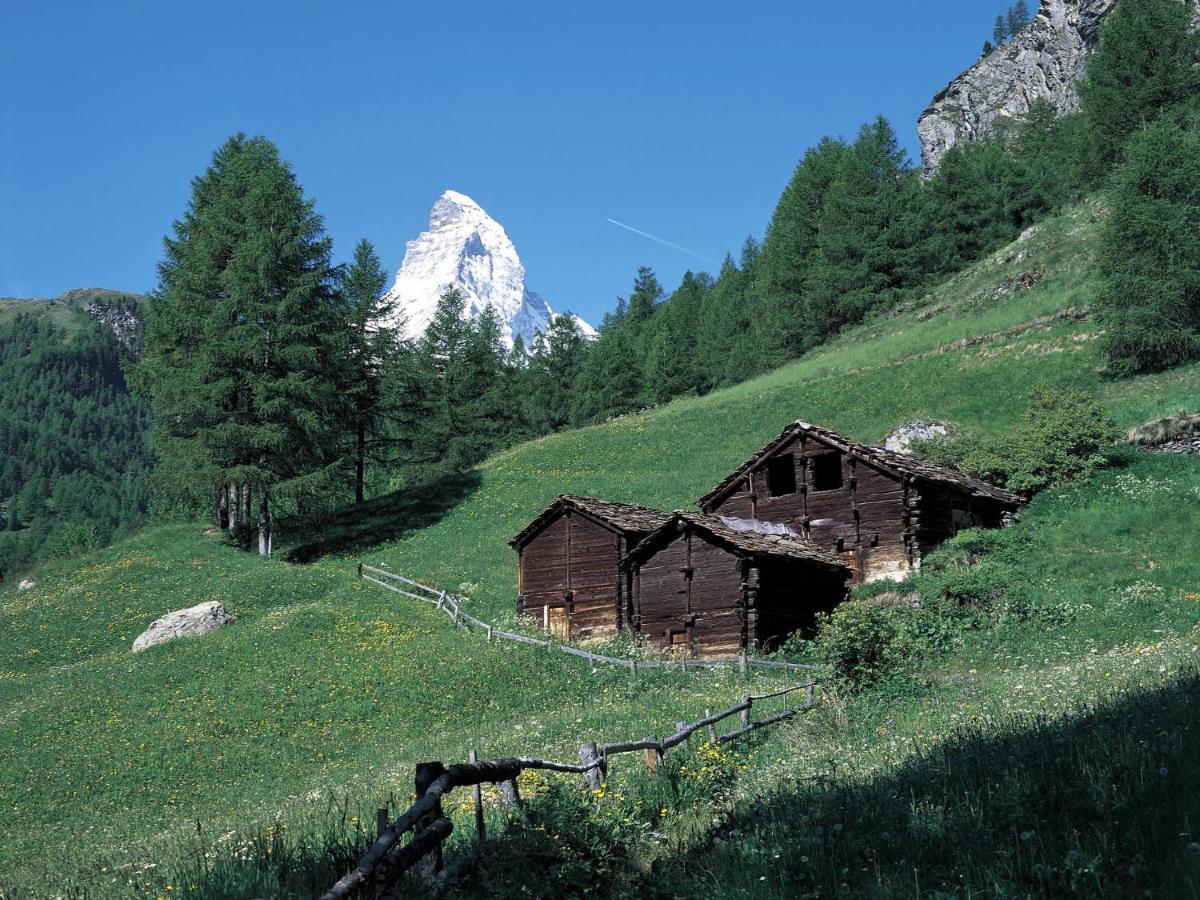 Apartment Pasadena By Interhome Zermatt Exterior foto